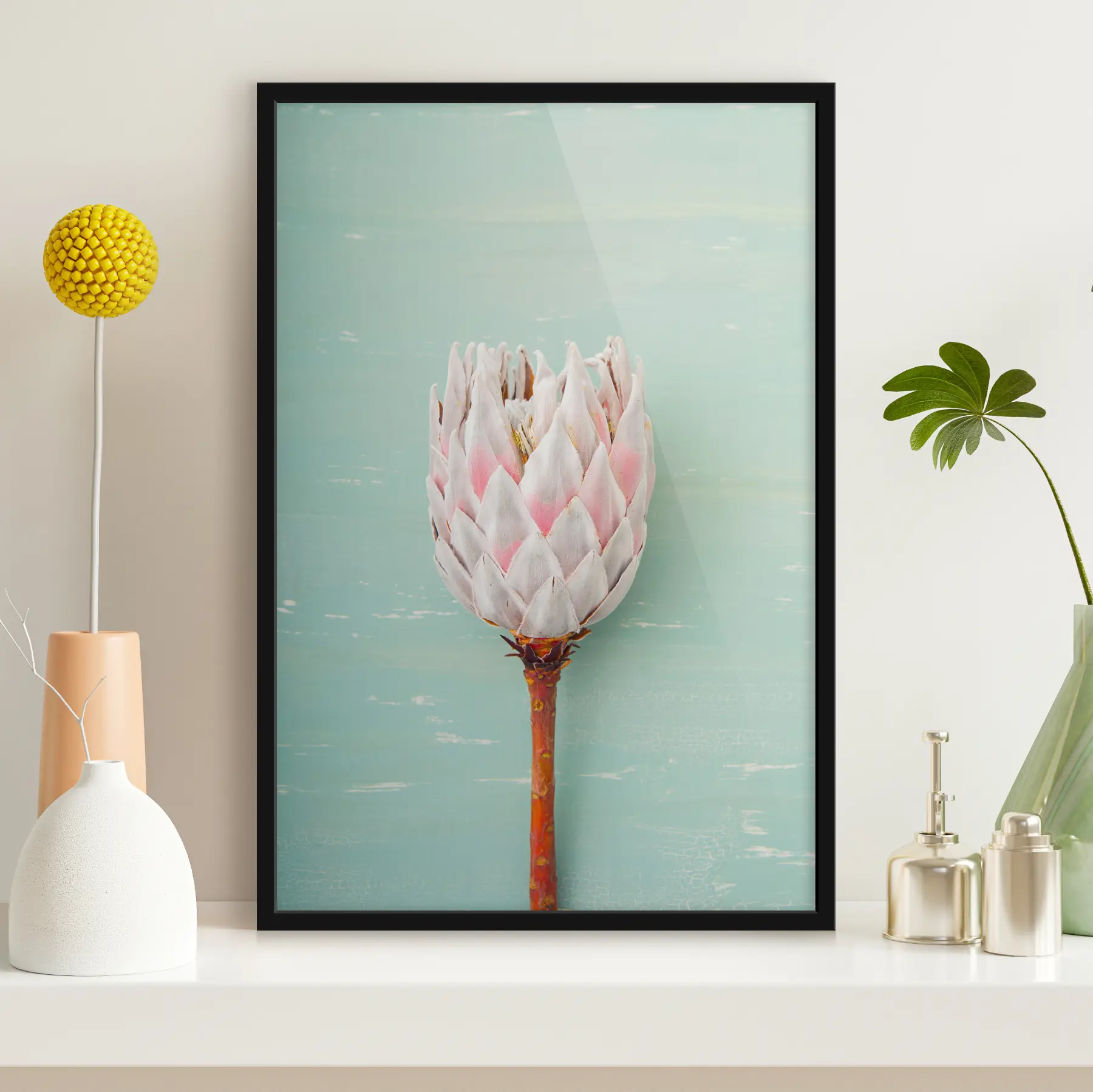 Fototapeta Biała protea f36695